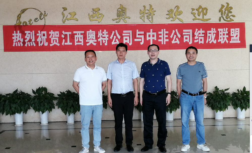 奧特中非戰略聯盟